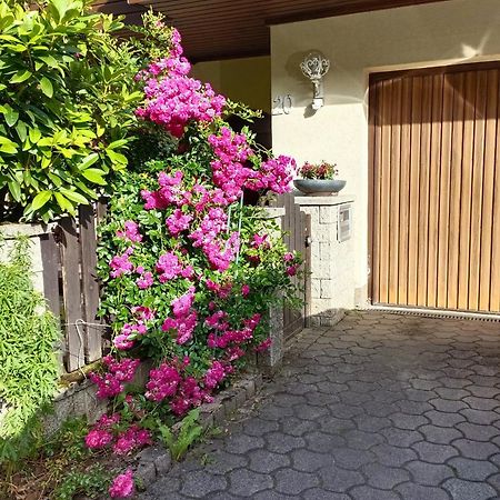 Haus Flora - Ferienwohnung ボーデンスドルフ エクステリア 写真