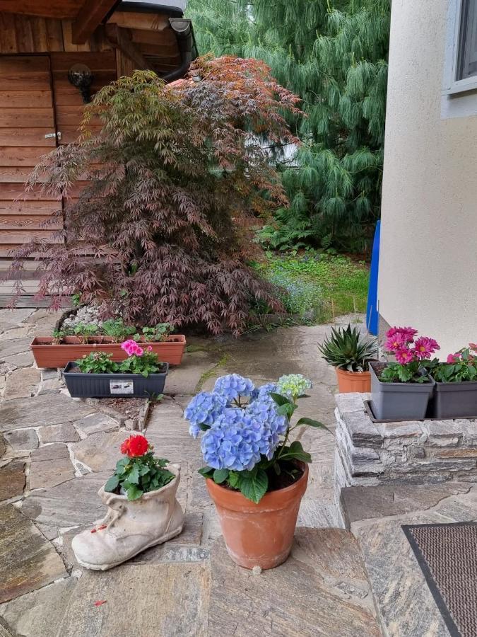 Haus Flora - Ferienwohnung ボーデンスドルフ エクステリア 写真