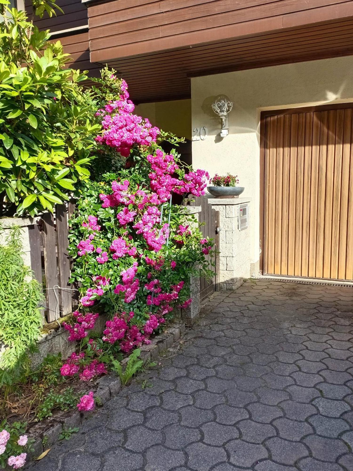 Haus Flora - Ferienwohnung ボーデンスドルフ エクステリア 写真